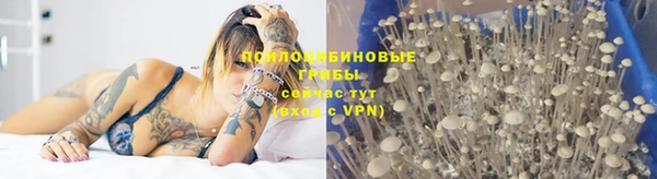 кокаин колумбия Алзамай