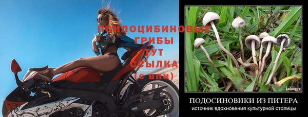 винт Алексеевка