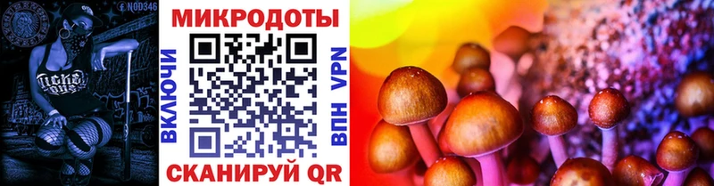 Псилоцибиновые грибы Psilocybine cubensis  Уссурийск 